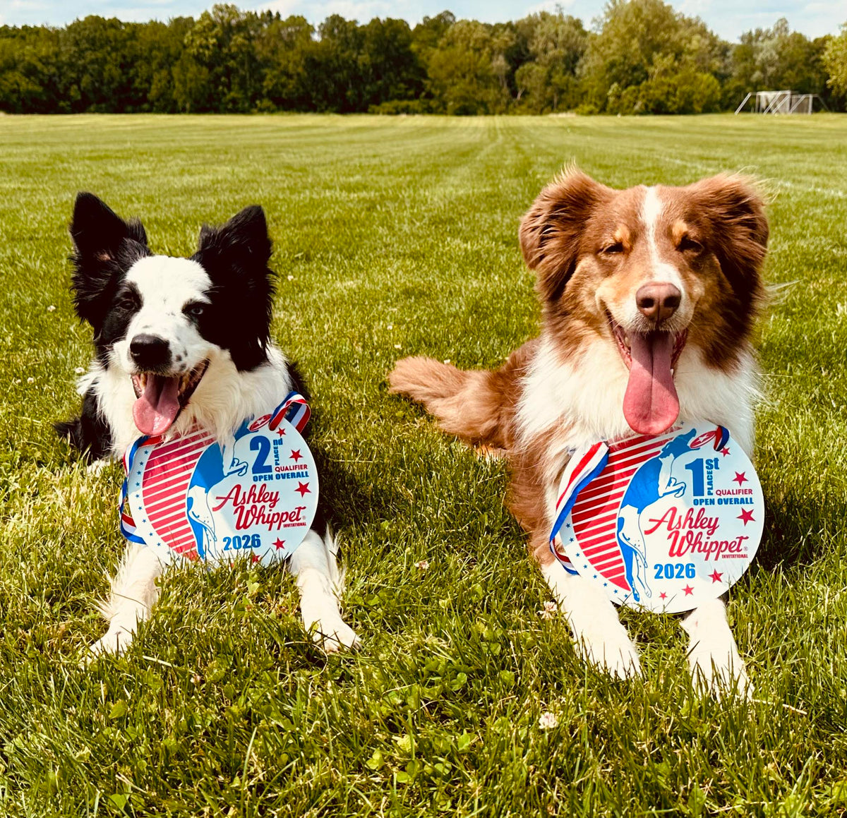 Meet the Athletes: Roman & Timber of Team Momentum