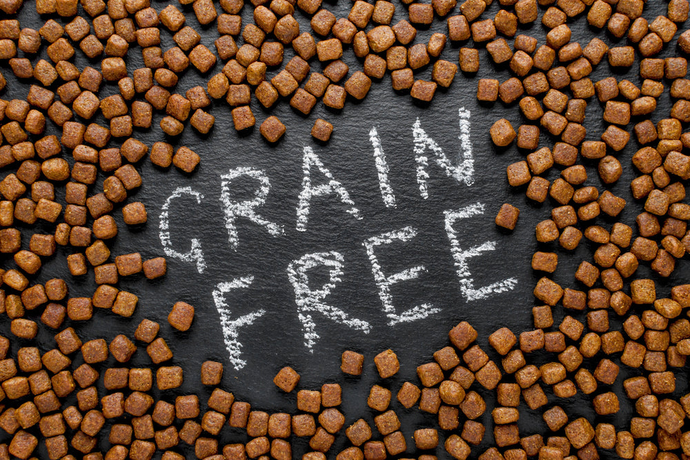 Choosing between grain-free and grain dog food can be challenging. Discover the key differences to decide which option best suits your furry companion's needs.