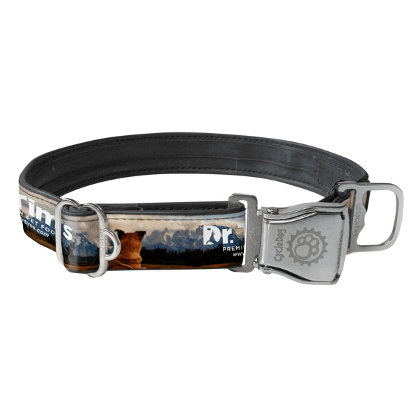 Dr. Tim's Dog Collar