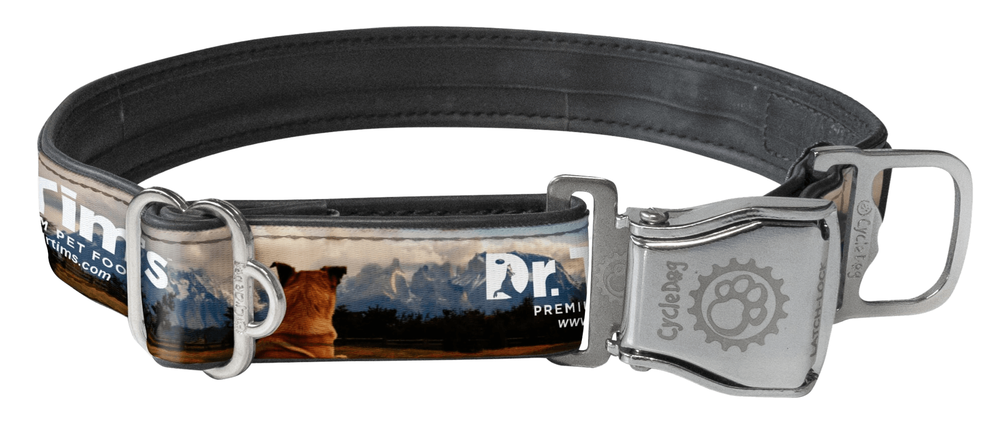 Dog outlet collar latch